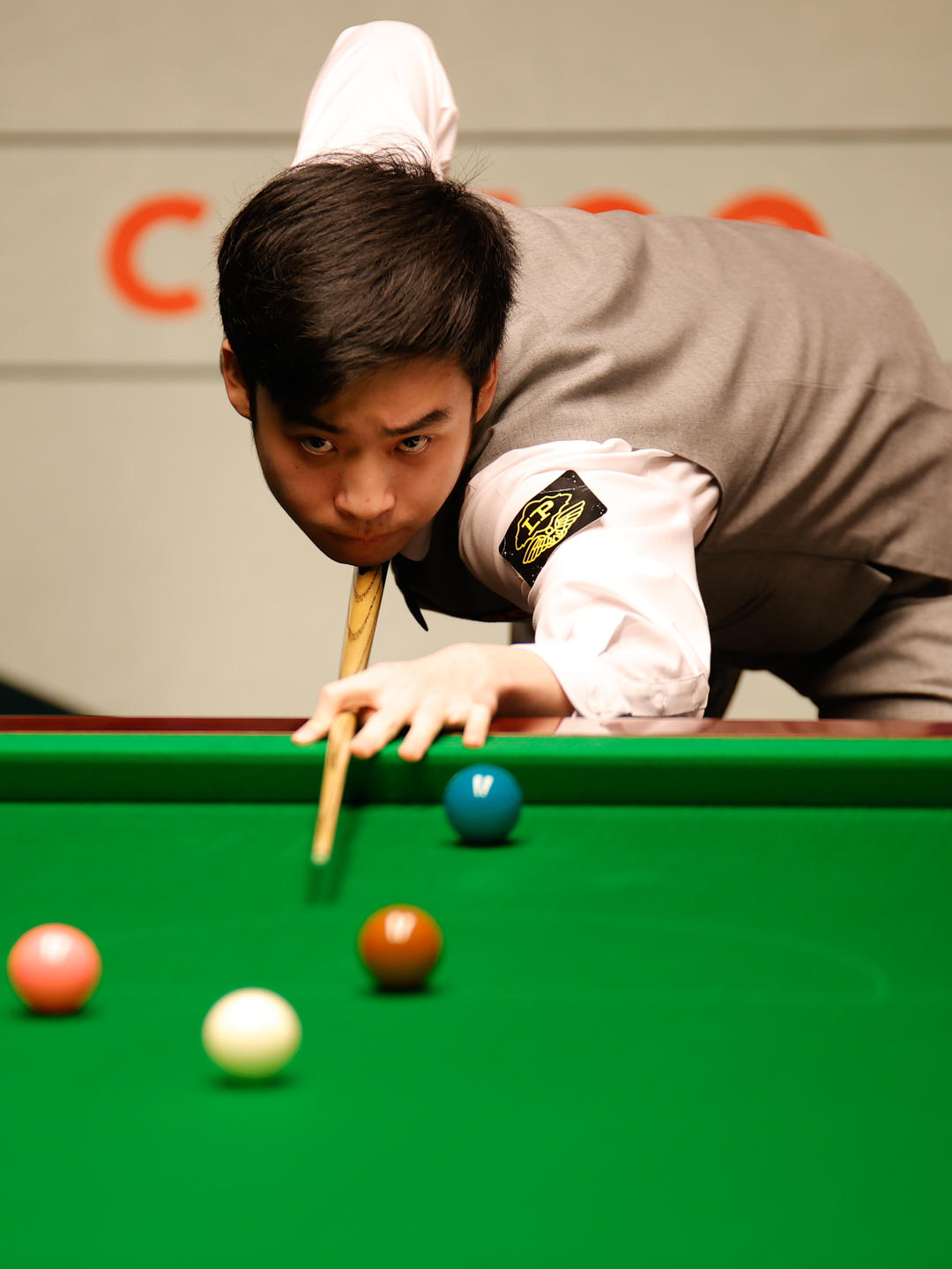 训练提供了 训练提供了