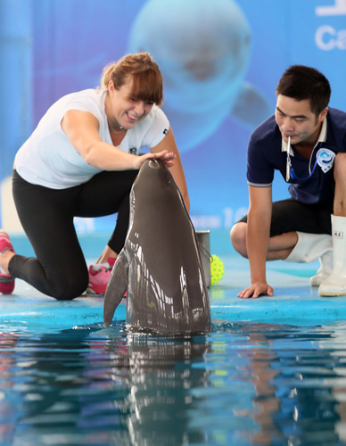 这一波不只 这一波不只