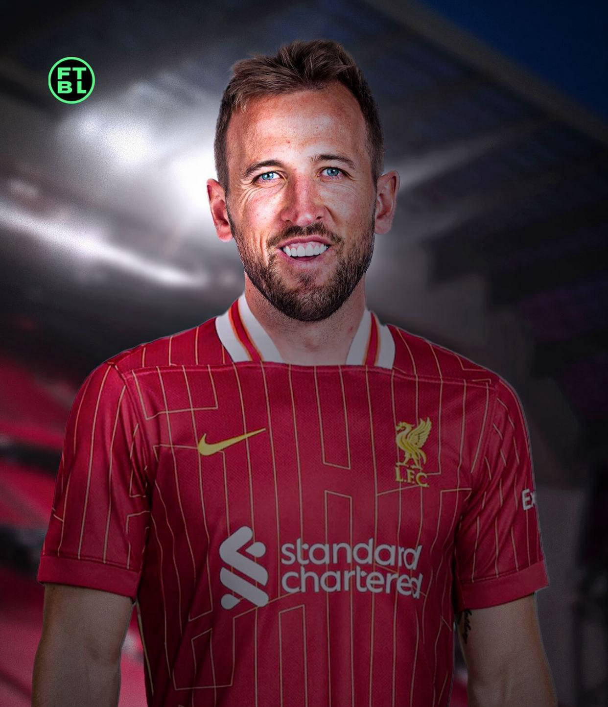 公告里表示 公告里表示